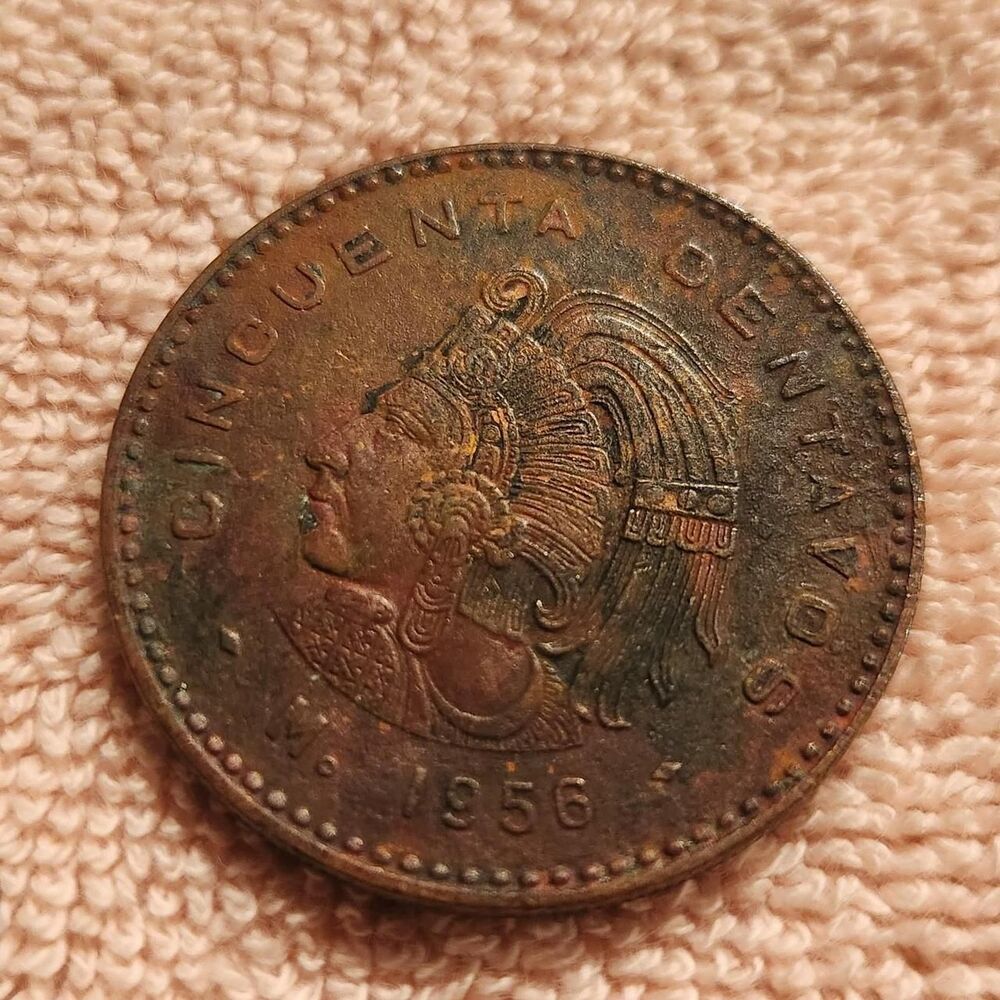 Free-people Gold and Brown Collectibles